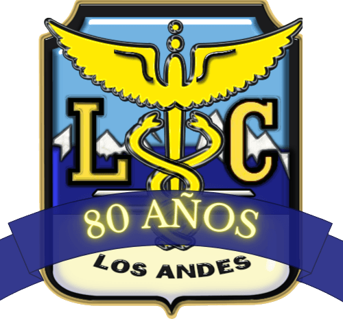 Liceo Comercial Los Andes